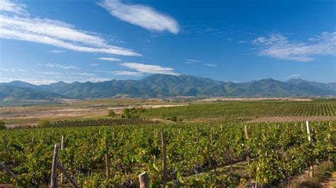 bulgarian wine glass factory